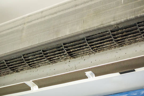 Best Affordable Air Duct Cleaning  in Saddle River, NJ